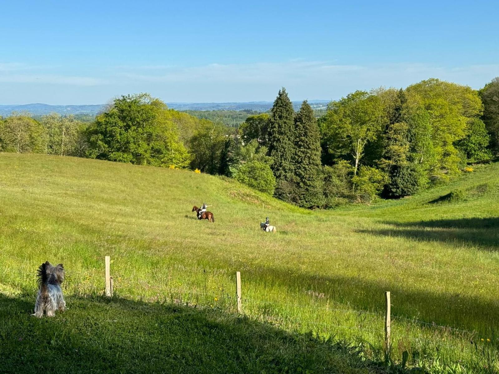 Domaine De Montmery Sa Piscine Son Jardin Ses Espaces Ambazac Eksteriør billede