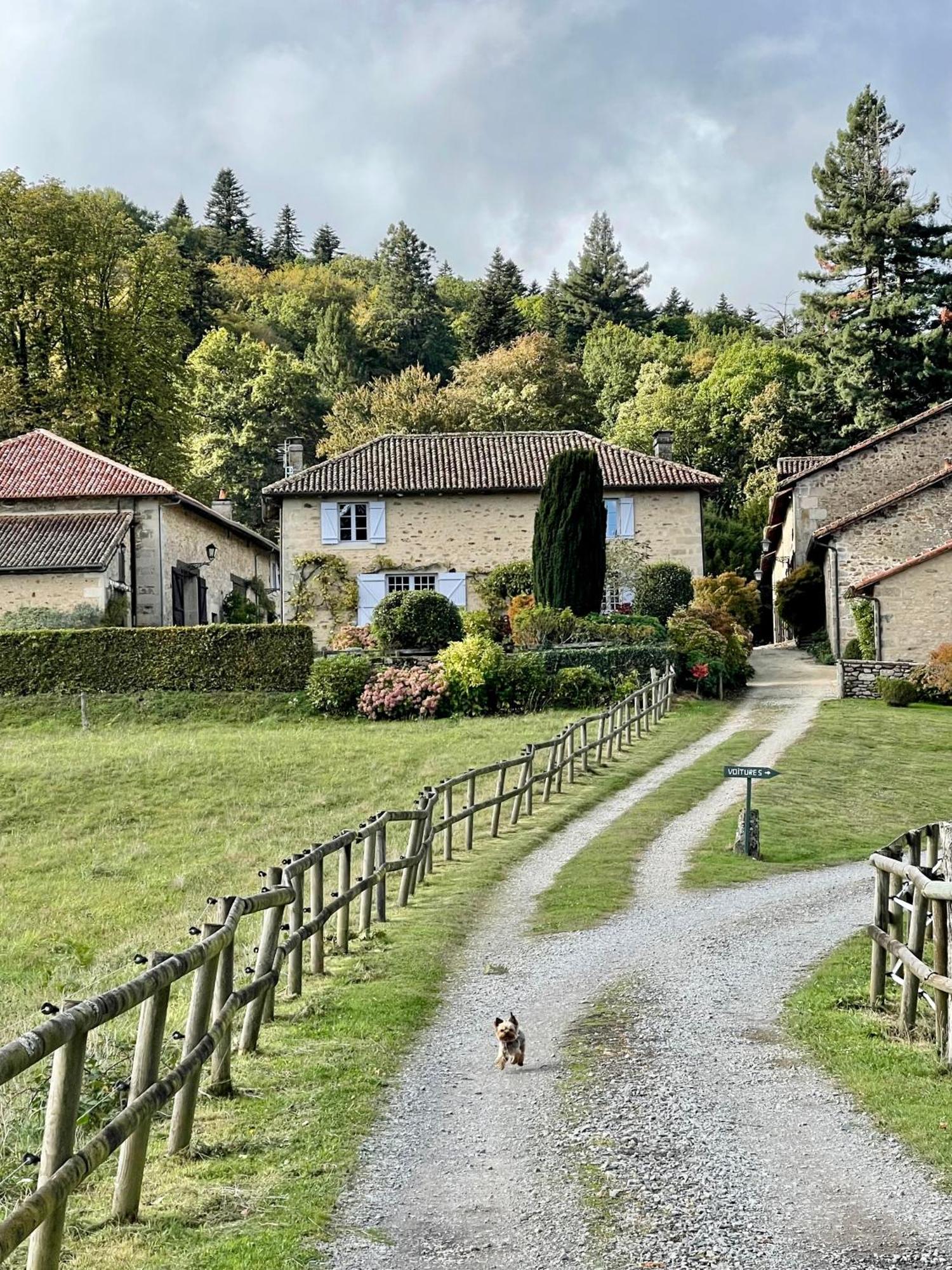 Domaine De Montmery Sa Piscine Son Jardin Ses Espaces Ambazac Eksteriør billede