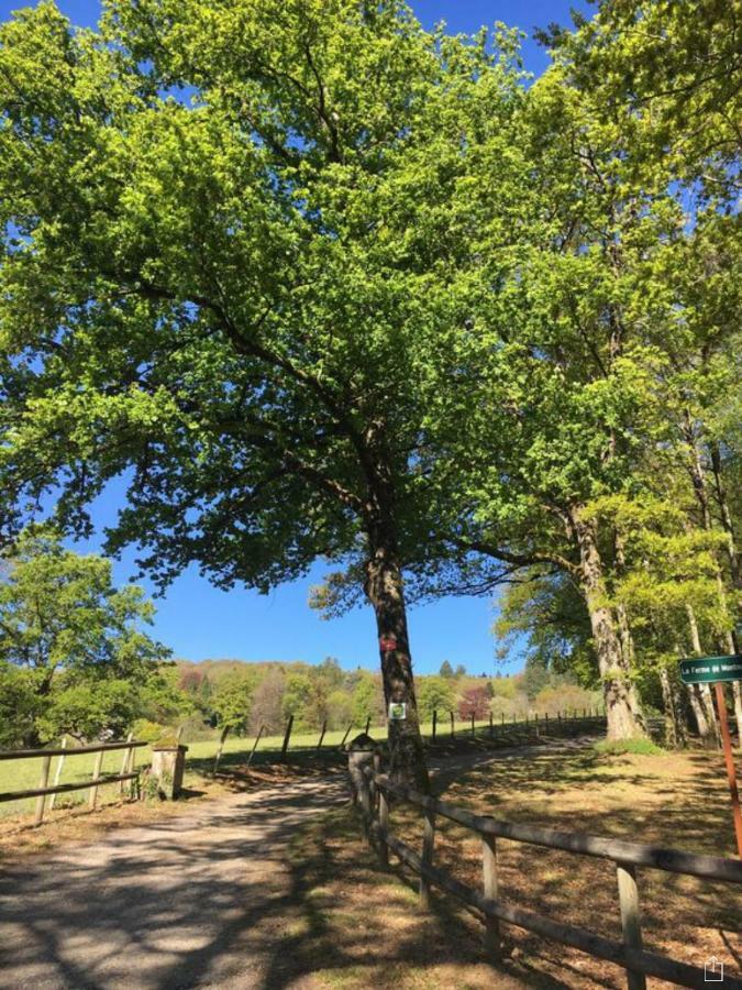 Domaine De Montmery Sa Piscine Son Jardin Ses Espaces Ambazac Eksteriør billede